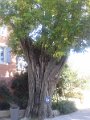 20150919_142621